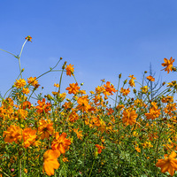 ��һ���춼�����壡������������＾���޺�ȥ��