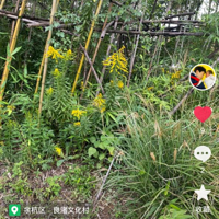 ���ݷ��������к����֣���������پٱ�