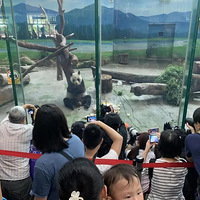 ����è �����š�����񻯣���½ר�ҽ���̨Э������