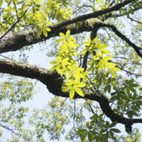 ����㵽Ϊֹ�����������������������ơ����������кô���Ҳ�л�