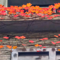 ��������Щ�¹���ʽʩ�У��������