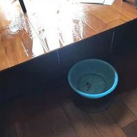 ǧ��Ԫѧ�����ճ���������ͷ�������Ů�������Ϸ�ͥ