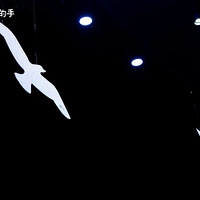 ����Ʊ�����������겻�ò�����ϲ�����������������