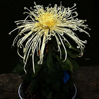 ����һ���������ˣ���ͬѧ������¥����ʦЦ˵��ྵ��ˡ�