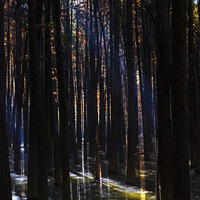 ���ݰ桰��Ұ���١�������ˣ�������˵����ʱ����ÿ�