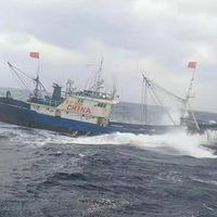 ����ȫ���һ�ˣ��㽭��Ա�񡰺����ر��¸ҽ�������