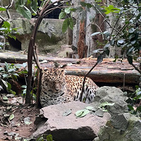 20��Ǯ�����γ������Լ۱ȣ���λ���ݱ�����Ƽ����ݴ���