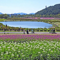 ��������ͯ����������Щ��������ȥ������