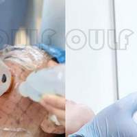 ��������꼪�Ĺ�Ч�����á����꼪�����һ����ά�ֶ೤ʱ��~