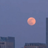 2000��һ���������������ܿ���������...