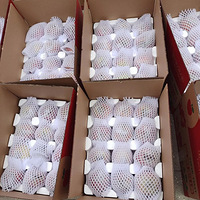 �¹���������5Ԫ��39.9Ԫ5��ɽ����⢺츻ʿ��������ժ����