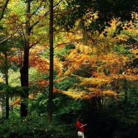 TVB֪�����ʲ���Ա��������ȥ��������78����������