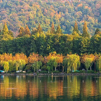 31.1�棬�����ȳ���ʷ�ڶ������ѣ����������ˡ���