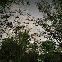 �����ȴ���Ե��