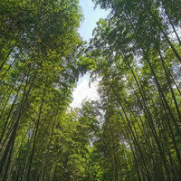 ��ʵ�ͻ�Ҳ��һ��ѧ����