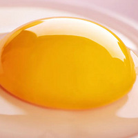 ������ɫ��=Ӫ���ã�����ģ�������