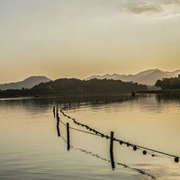 �������죬���������ˣ�δ�����캼���������...