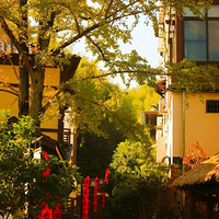 �¹ؿ�ʡ���Σ����ò�����֪ͨ���������