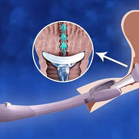 ��ֵ��ǧ�������������ж��ؿڣ������Ҷ���Ц��