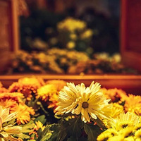 �������ϰ嶼��̸��GMV�����ѣ������ز���ֱ��