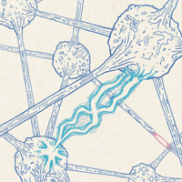 Ϊʲô�������ʱ��������ϴ�裿