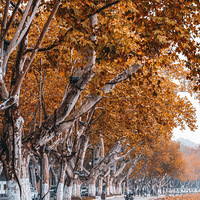 2022�������������տ��ܣ���Щ��·����ʱ��ͨ�ܿأ��������