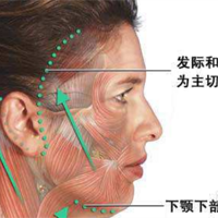 ��Ƥ����������������ʡ��沿��Ƥ������������ʺ���