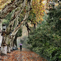 ����Ҫ���ˣ���Ҷ����ס�ˣ���֪���Ƿ��׷�󣬻������Ĳ�������