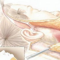 �ǣ���Ĥ��������ʲôԭ�����ȿ���Ĥ����������ȫ����~