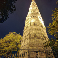 ҹ������