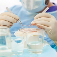 ��ֲ��������ά�ֶ�ã�ͷ����ֲ�����ܹܶ��~