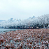 ѩ����Լ�����ˣ����أ�