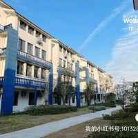 ����ֱ�⣬����ѧԺ�ԣ��ɶ���