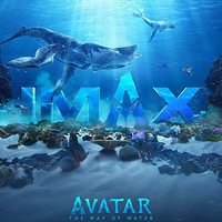 ��������2���ĸ�Ʊ�ۣ�������Ӧ�����Ǵ��²ˣ�