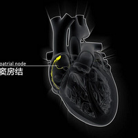 ����̫�룬���෴�����������������������ٽ���Σ����