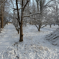 ���¶�ʮ��