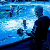 ��������2��������ǰ���ļ������������׵Ĺ���