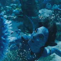 ��������2������ֵ��ֵ��ȥ��