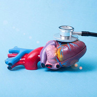 �����������Ծ����������̣�����������໹�ǷΣ�