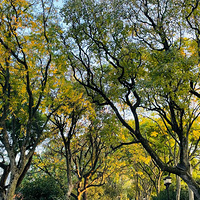 ������һ��������2023��˳˳������