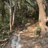 ������������ɽ����һ���Լ�����