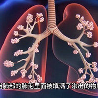 ����Բ��Ƿ���ְ׷Σ�����������