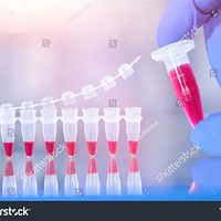 ���ڻ��г�ʲô�ȽϺã����г�ɶ��Ӫ��~