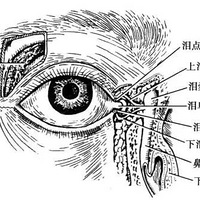 ����֫��ȫΪʲôҪ�����Σ���Ϊ�Դ�������������