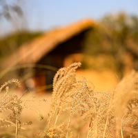 ��ĩ����Ψ�й����й�