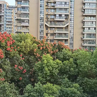 ����ֱ������С�㳡2��1��