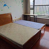 ���ݶ��ж��湫Ԣ����