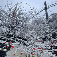 ��ѩ�׷���