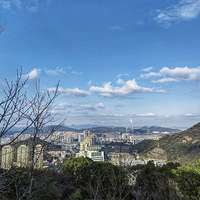 �Ǹ߱����羰