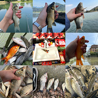 �������������������